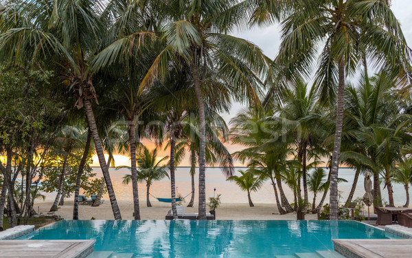 swimming pool on tropical beach Stock photo © dolgachov