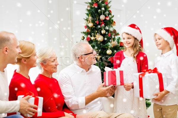 [[stock_photo]]: Souriant · famille · cadeaux · maison · vacances · génération