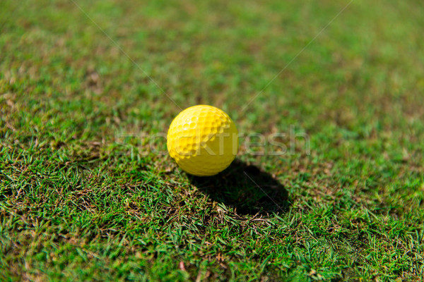 close up of yellow golf ball on green grass Stock photo © dolgachov