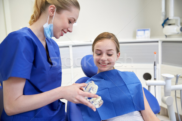 счастливым стоматолога челюсть модель пациент Сток-фото © dolgachov