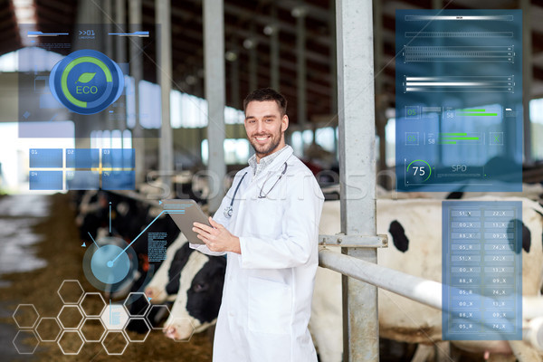 veterinarian with tablet pc and cows on dairy farm Stock photo © dolgachov