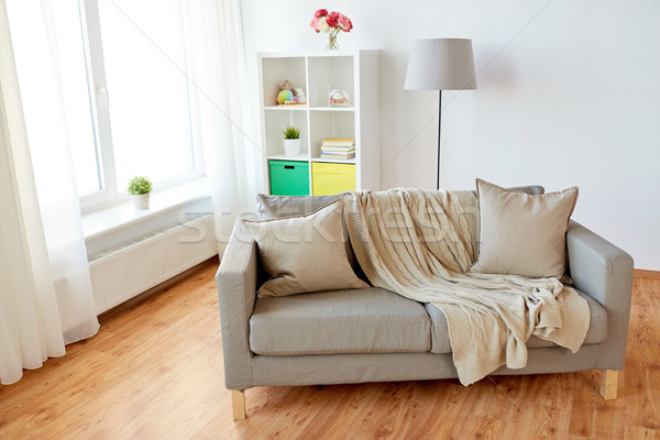 sofa with cushions at cozy home living room Stock photo © dolgachov