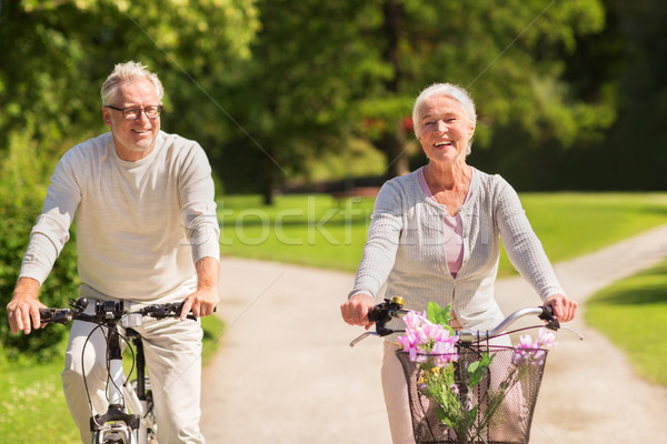 Boldog idős pár lovaglás biciklik nyár park Stock fotó © dolgachov