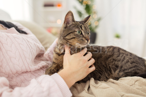close up of owner with tabby cat in bed at home Stock photo © dolgachov