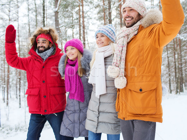 Grupo amigos manos invierno forestales Foto stock © dolgachov