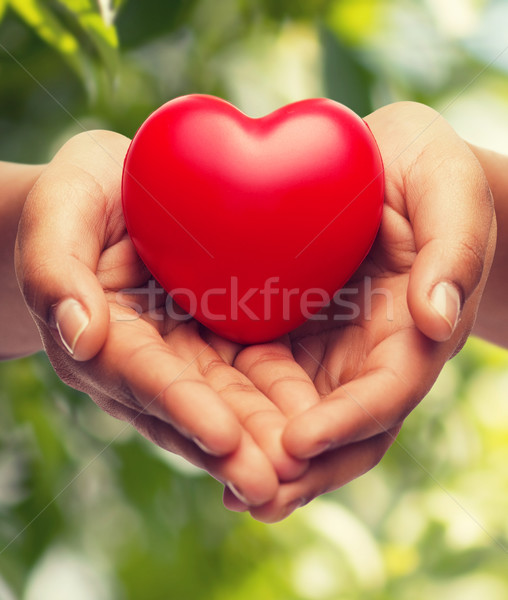 womans cupped hands showing red heart Stock photo © dolgachov