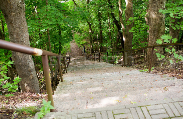 Stair estate foresta parco natura Foto d'archivio © dolgachov