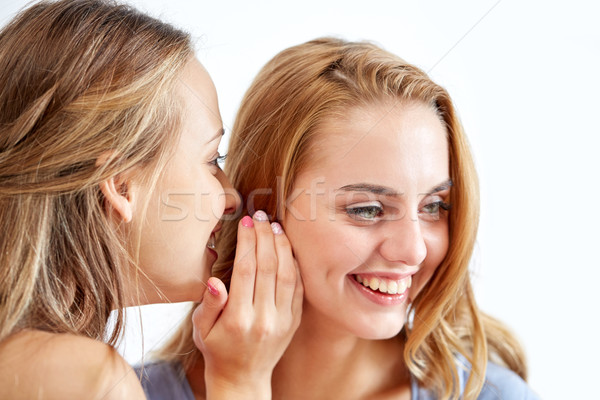 Heureux jeunes femmes chuchotement potins maison amitié [[stock_photo]] © dolgachov