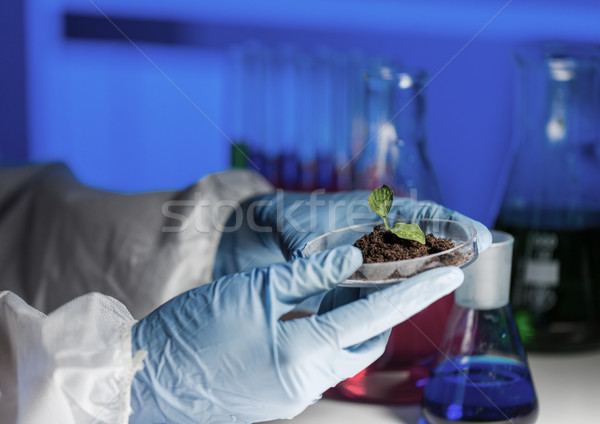 Cientista mãos planta solo ciência Foto stock © dolgachov