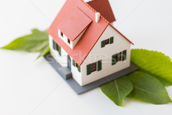 close up of house model and green leaves Stock photo © dolgachov