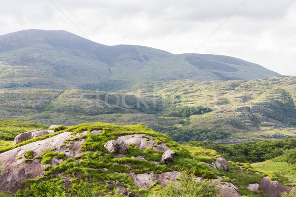 Kilátás park dombok Írország természet tájkép Stock fotó © dolgachov