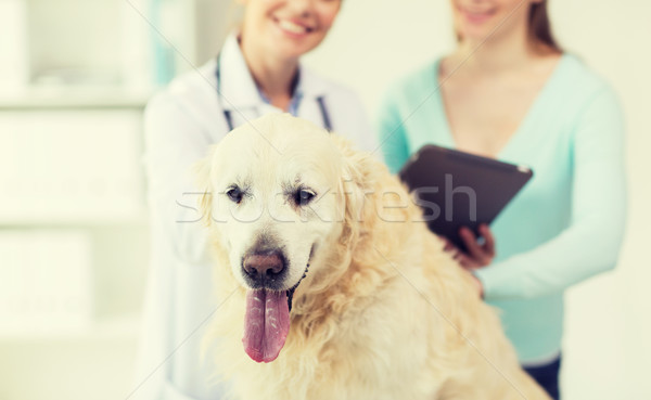 Foto stock: Veterinario · perro · clínica · medicina