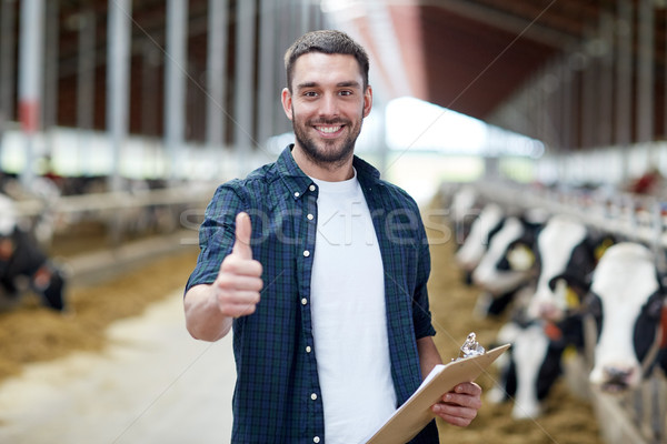 Stock photo: farmer with cows showing thumbs up on dairy farm