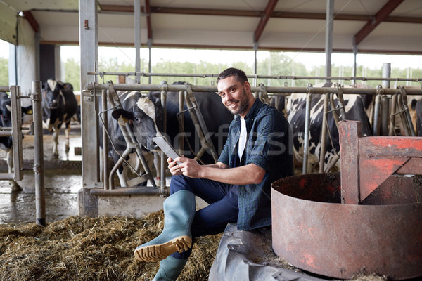 young man with tablet pc and cows on dairy farm Stock photo © dolgachov