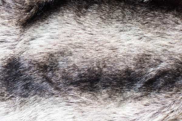 Közelkép szőr textil textúra haj ötlet Stock fotó © dolgachov