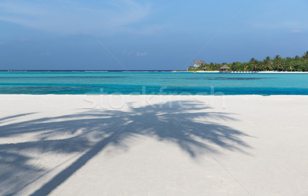 Maldives île plage palmier villa Voyage Photo stock © dolgachov