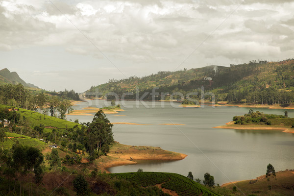 Ansicht See Fluss Land Hügeln Sri Lanka Stock foto © dolgachov