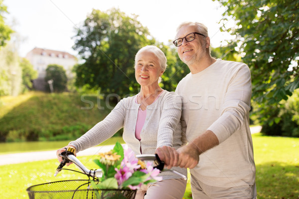 Boldog idős pár biciklik nyár park aggkor Stock fotó © dolgachov
