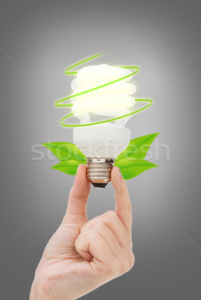 Frau Hand halten Glühlampe Strom Stock foto © dolgachov