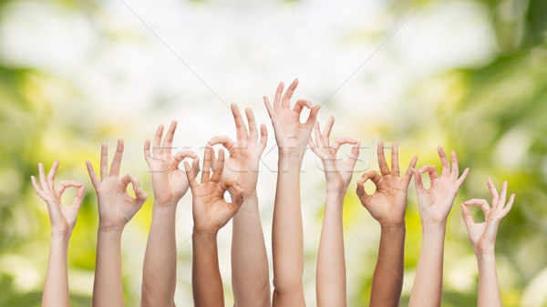 Emberi kezek mutat ok felirat kézmozdulat Stock fotó © dolgachov