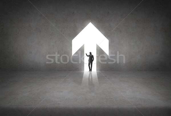 silhouette if businesswoman in the arrow Stock photo © dolgachov