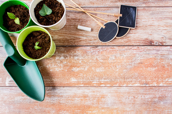 close up of seedlings, trowel and nameplates Stock photo © dolgachov