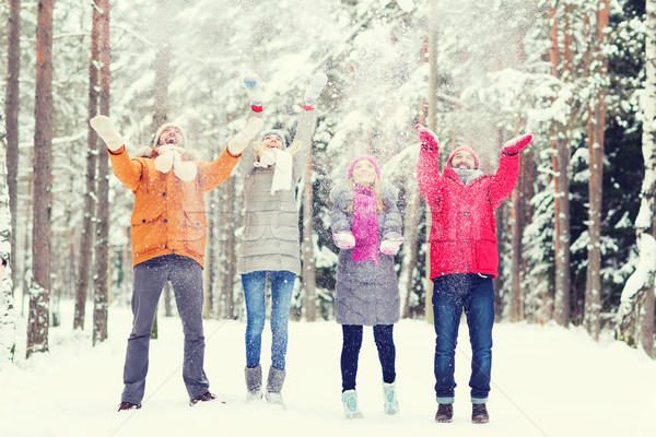 Grupo feliz amigos nieve forestales amor Foto stock © dolgachov