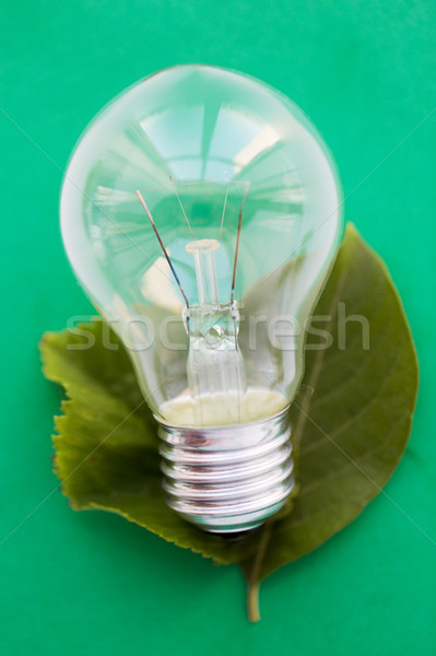close up of bulb or incandescent lamp on green Stock photo © dolgachov