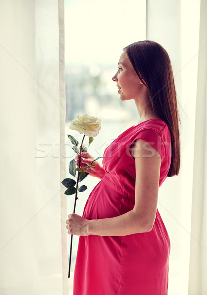 happy pregnant woman with rose flower at home Stock photo © dolgachov