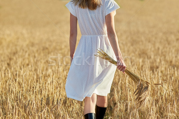 young woman with cereal spikelets walking on field Stock photo © dolgachov