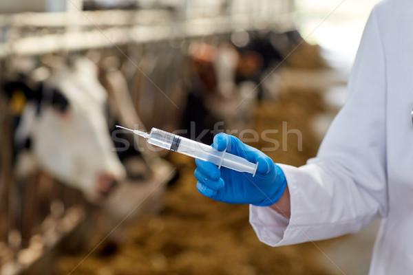 Stock photo: veterinarian hand with vaccine in syringe on farm