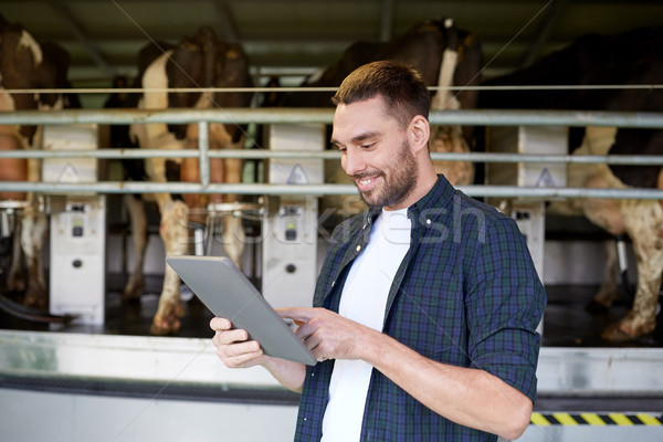 young man with tablet pc and cows on dairy farm Stock photo © dolgachov