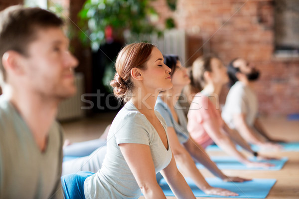 Grupy ludzi jogi kobra stanowią studio fitness Zdjęcia stock © dolgachov