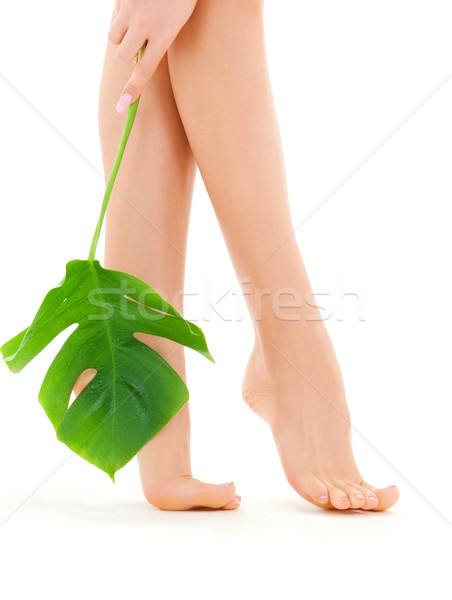 female legs with green leaf Stock photo © dolgachov