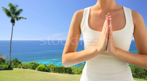 Vrouw yoga buitenshuis mensen namaste Stockfoto © dolgachov