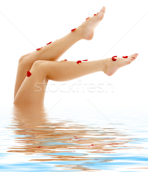 beautiful legs in blue water Stock photo © dolgachov