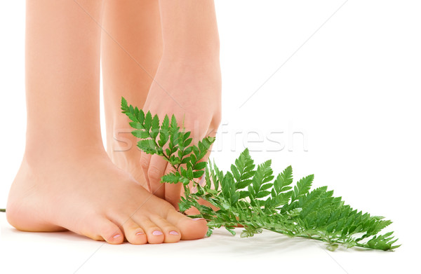 female feet with green leaf Stock photo © dolgachov