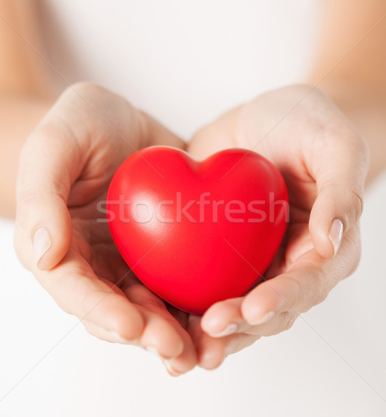 female hands with small red heart Stock photo © dolgachov
