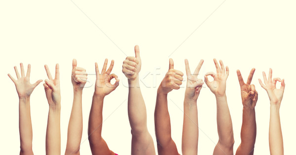 human hands showing thumbs up, ok and peace signs Stock photo © dolgachov