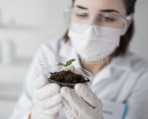close up of scientist with plant and soil in lab Stock photo © dolgachov
