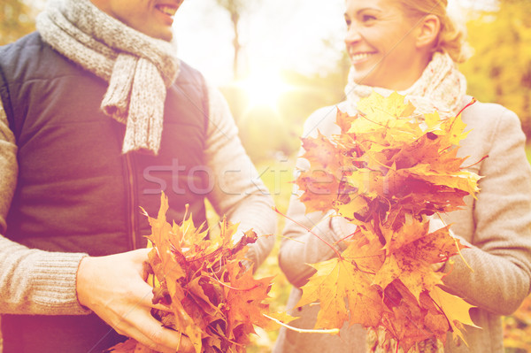 [[stock_photo]]: Souriant · couple · érable · laisse · automne · parc