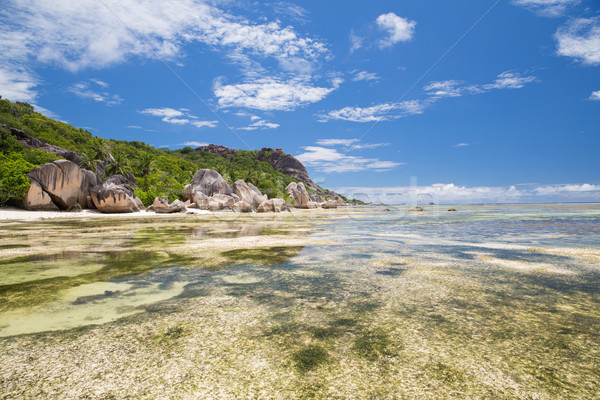 Foto stock: Ilha · praia · indiano · oceano · Seychelles · viajar