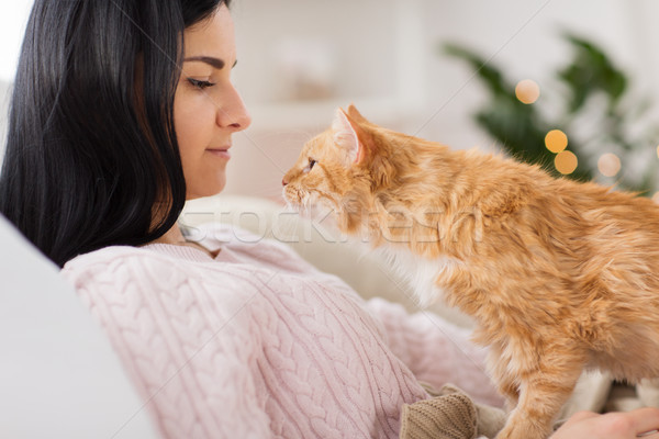 Sahip kırmızı kedi yatak ev Stok fotoğraf © dolgachov