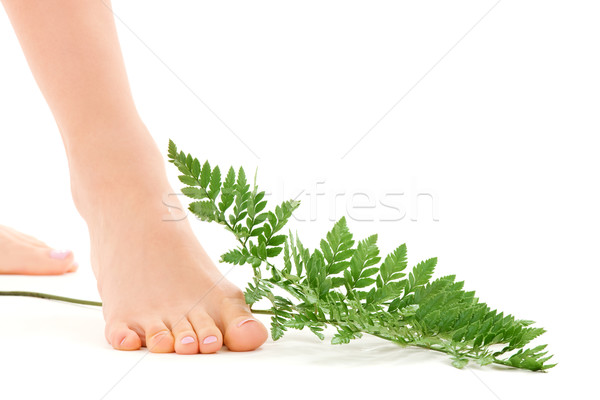 female feet with green leaf Stock photo © dolgachov