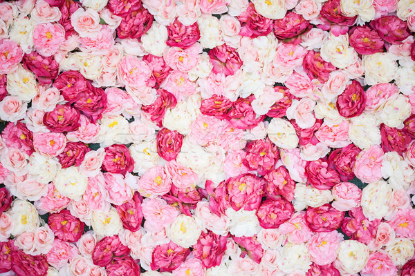 background full of white and pink peonies Stock photo © dolgachov