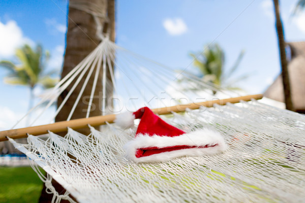 圖片 吊床 聖誕老人 幫手 帽子 假期 商業照片 © dolgachov