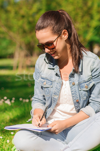 Stock foto: Lächelnd · junge · Mädchen · Notebook · schriftlich · Park · Lifestyle