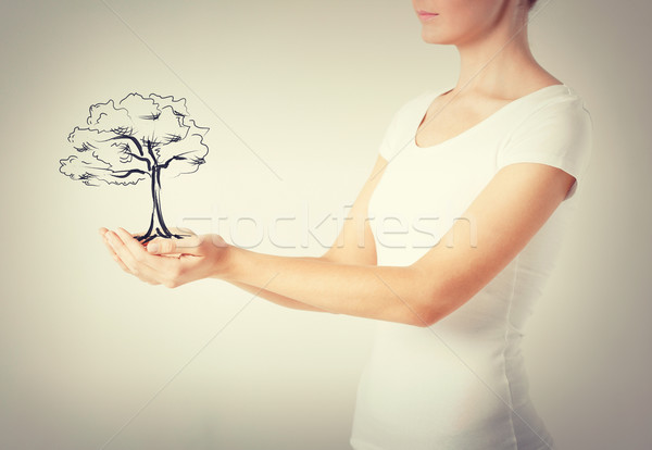 woman with small tree in her hands Stock photo © dolgachov