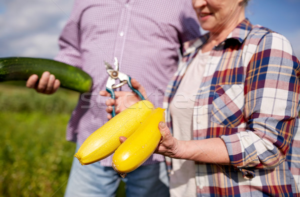 senior couple with squashes and secateurs at farm Stock photo © dolgachov