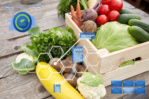 close up of vegetables on farm Stock photo © dolgachov